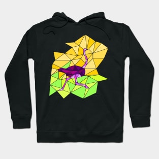 Colourful geometric ostrich Hoodie